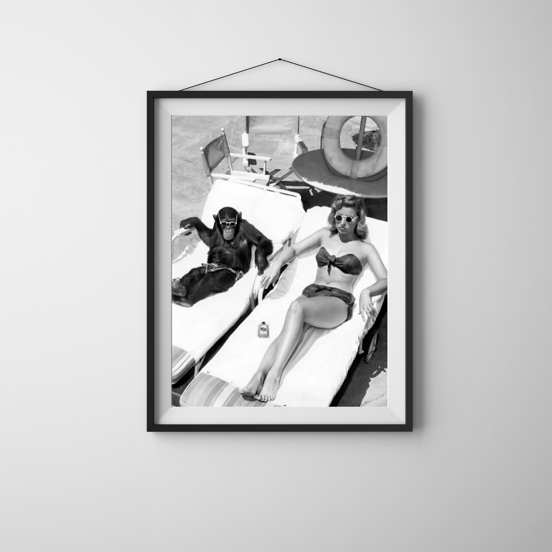 The Best Black and White Wall Art for a Living Room: How to Make Your Space Look Like a Designer Did It