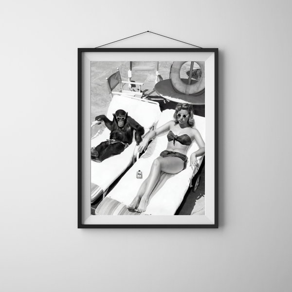 The Best Black and White Wall Art for a Living Room: How to Make Your Space Look Like a Designer Did It