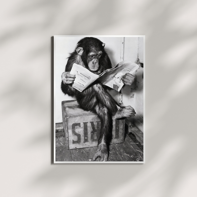 Chimpanzee Reading Newspaper Poster, Vintage Black & White Photo Print - Wall Art Print | Oakline Studio