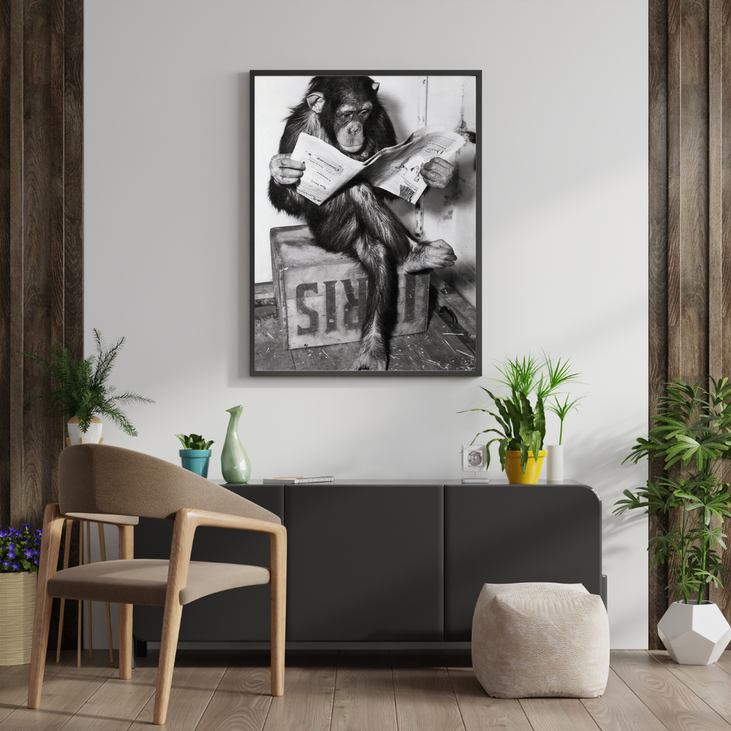 Chimpanzee Reading Newspaper Poster, Vintage Black & White Photo Print