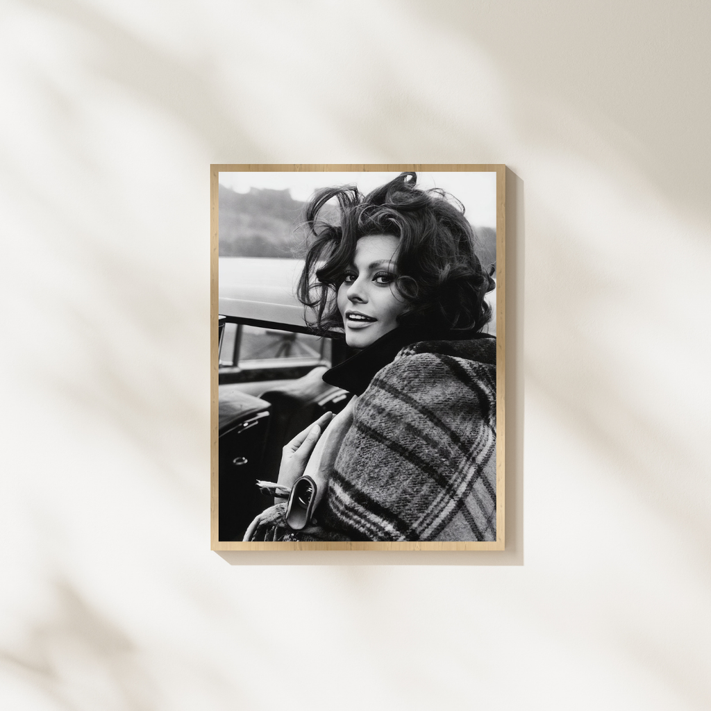 Sophia Loren Poster, Photography Prints, Sophia Loren Photography