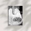 Marilyn Monroe in Bathtub Wall Decor - Black and White Poster