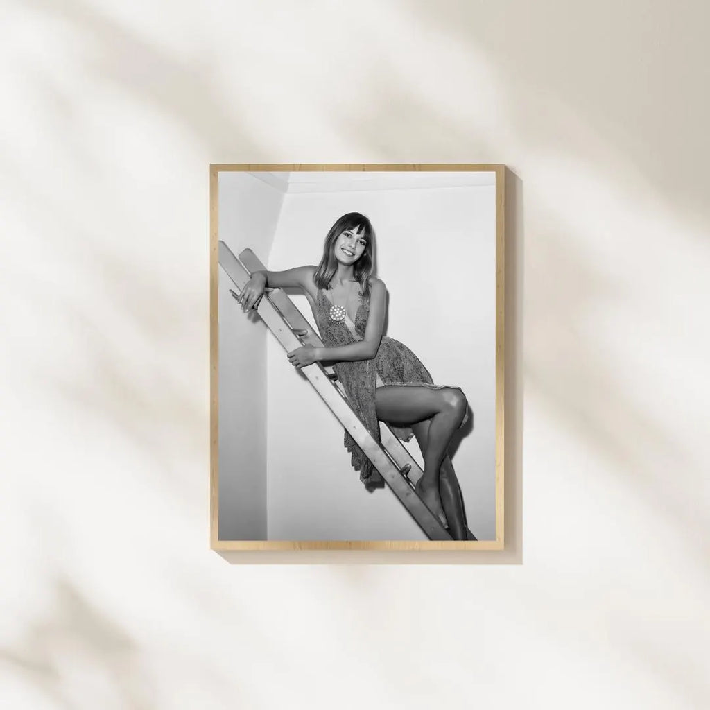Jane Birkin Wall Art - Photography Poster